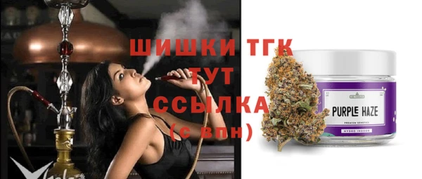 spice Бугульма